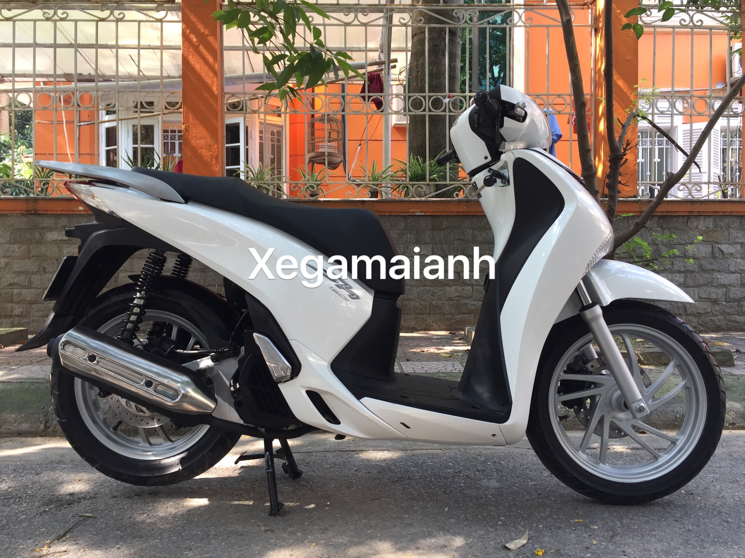 Xe máy Honda SH Mode 2013 2014 2015 cũ giá bao nhiêu tiền   websosanhvn